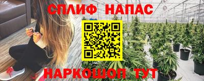 дурь Севастополь