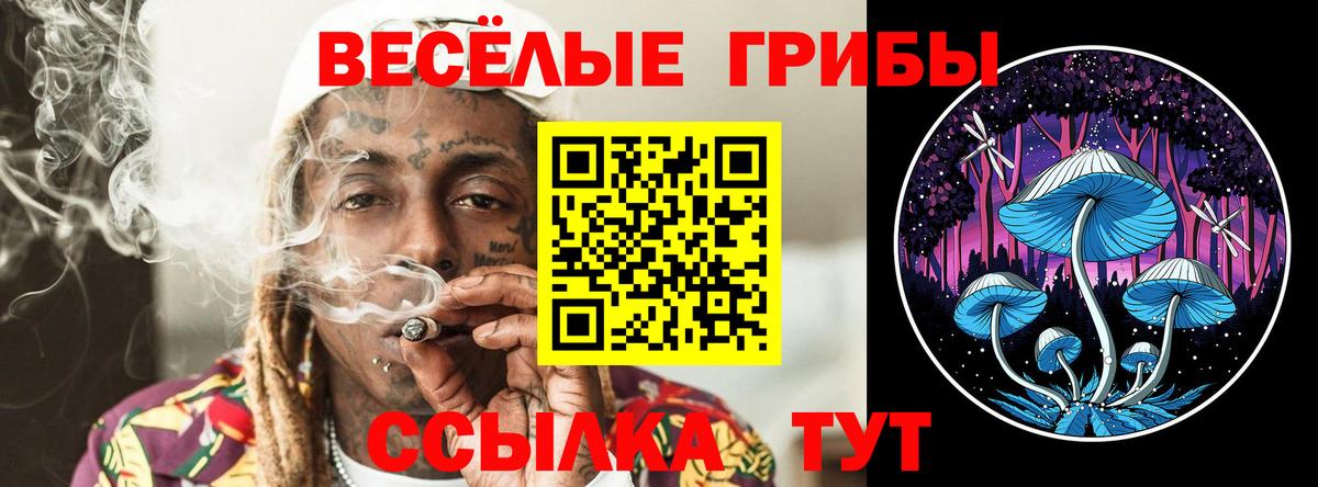 Галлюциногенные грибы MAGIC MUSHROOMS  Галлюциногенные грибы Magic Shrooms  Вход с VPN  Северск 